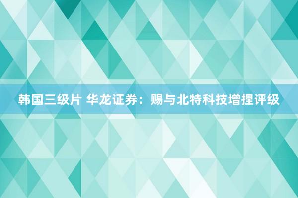 韩国三级片 华龙证券：赐与北特科技增捏评级
