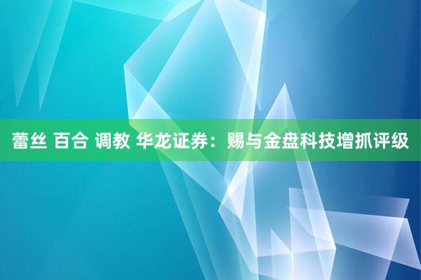 蕾丝 百合 调教 华龙证券：赐与金盘科技增抓评级