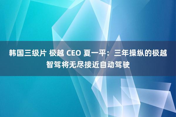 韩国三级片 极越 CEO 夏一平：三年操纵的极越智驾将无尽接近自动驾驶