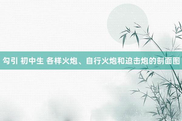 勾引 初中生 各样火炮、自行火炮和迫击炮的剖面图
