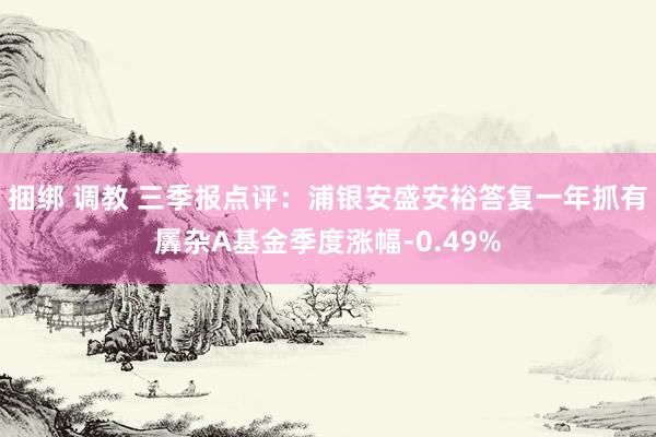 捆绑 调教 三季报点评：浦银安盛安裕答复一年抓有羼杂A基金季度涨幅-0.49%