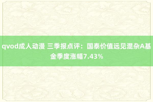 qvod成人动漫 三季报点评：国泰价值远见混杂A基金季度涨幅7.43%
