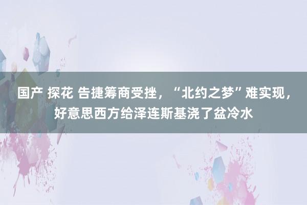 国产 探花 告捷筹商受挫，“北约之梦”难实现，好意思西方给泽连斯基浇了盆冷水