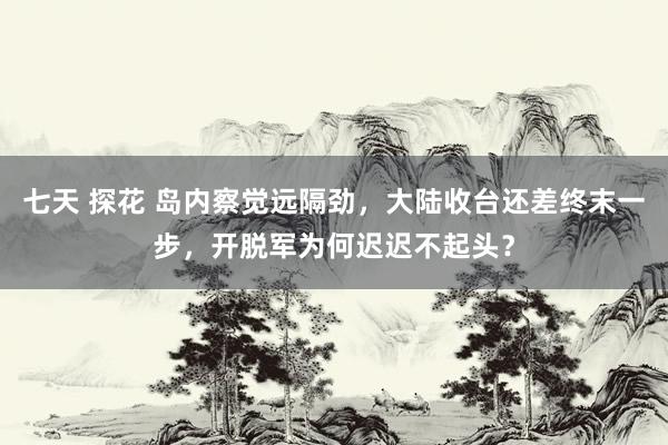 七天 探花 岛内察觉远隔劲，大陆收台还差终末一步，开脱军为何迟迟不起头？