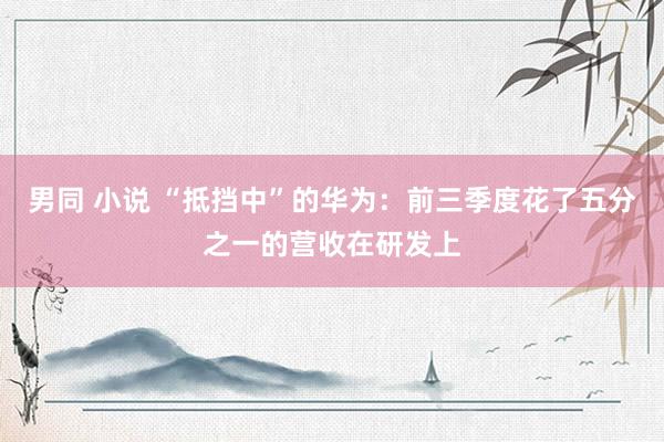男同 小说 “抵挡中”的华为：前三季度花了五分之一的营收在研发上