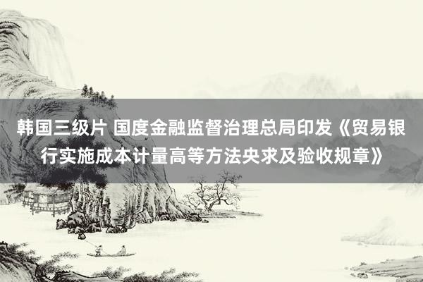 韩国三级片 国度金融监督治理总局印发《贸易银行实施成本计量高等方法央求及验收规章》