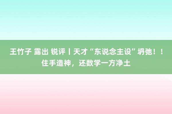 王竹子 露出 锐评丨天才“东说念主设”坍弛！！住手造神，还数学一方净土