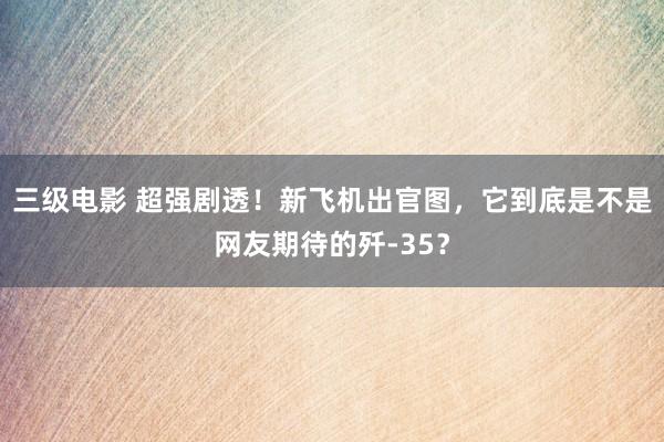三级电影 超强剧透！新飞机出官图，它到底是不是网友期待的歼-35？