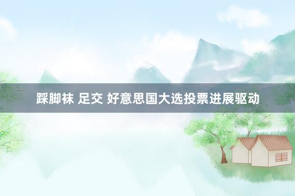 踩脚袜 足交 好意思国大选投票进展驱动