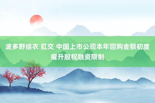 波多野结衣 肛交 中国上市公司本年回购金额初度擢升股权融资限制