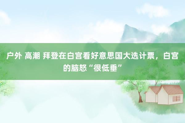 户外 高潮 拜登在白宫看好意思国大选计票，白宫的脑怒“很低垂”