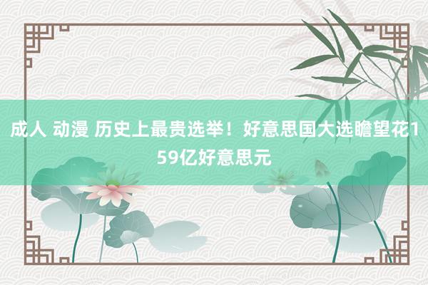 成人 动漫 历史上最贵选举！好意思国大选瞻望花159亿好意思元