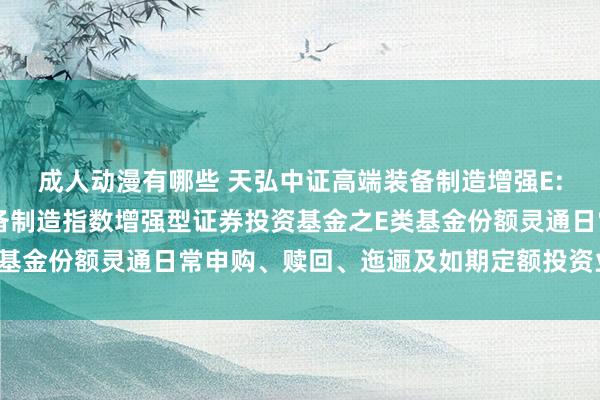 成人动漫有哪些 天弘中证高端装备制造增强E: 对于天弘中证高端装备制造指数增强型证券投资基金之E类基金份额灵通日常申购、赎回、迤逦及如期定额投资业务的公告