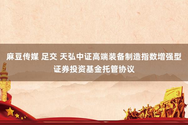 麻豆传媒 足交 天弘中证高端装备制造指数增强型证券投资基金托管协议