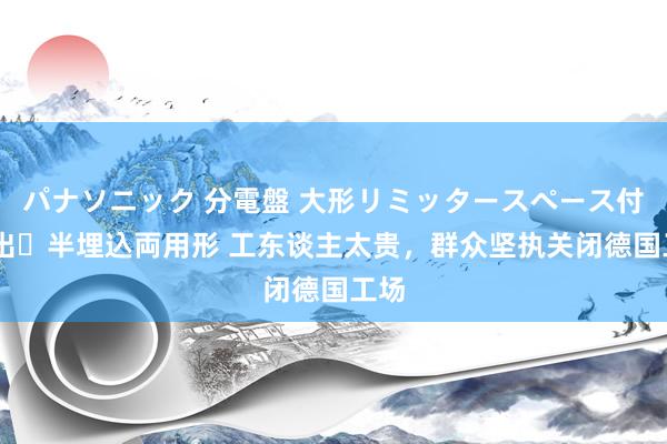 パナソニック 分電盤 大形リミッタースペース付 露出・半埋込両用形 工东谈主太贵，群众坚执关闭德国工场