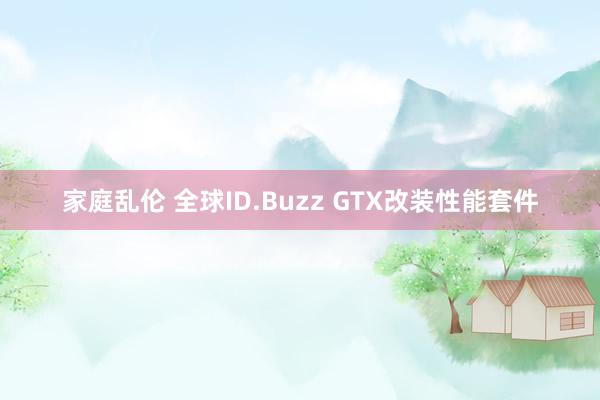 家庭乱伦 全球ID.Buzz GTX改装性能套件