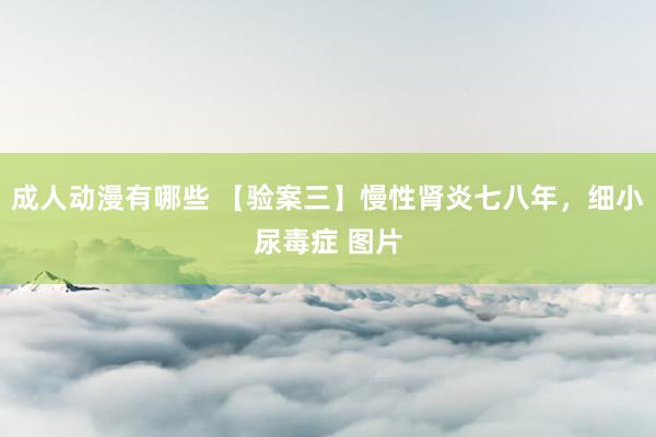 成人动漫有哪些 【验案三】慢性肾炎七八年，细小尿毒症 图片