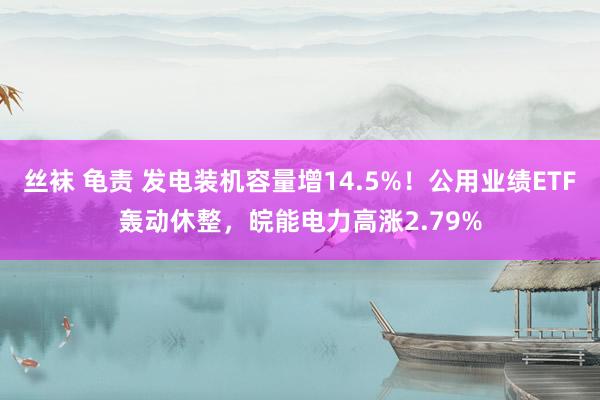 丝袜 龟责 发电装机容量增14.5%！公用业绩ETF轰动休整，皖能电力高涨2.79%