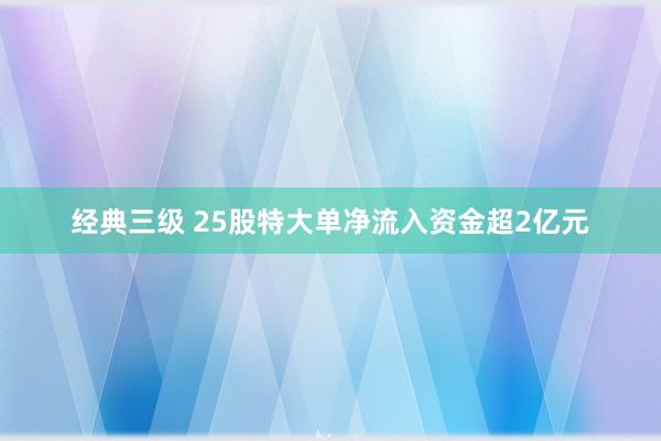 经典三级 25股特大单净流入资金超2亿元