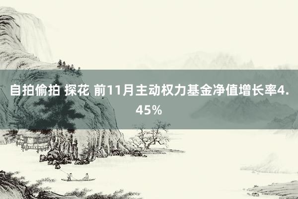 自拍偷拍 探花 前11月主动权力基金净值增长率4.45%