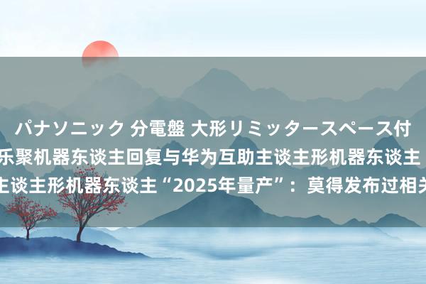 パナソニック 分電盤 大形リミッタースペース付 露出・半埋込両用形 乐聚机器东谈主回复与华为互助主谈主形机器东谈主“2025年量产”：莫得发布过相关音信