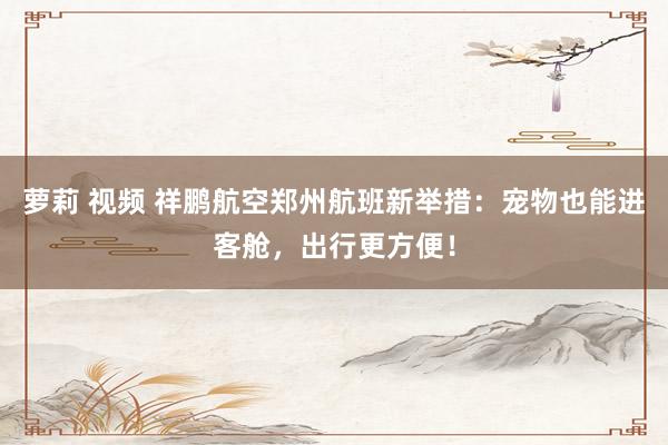 萝莉 视频 祥鹏航空郑州航班新举措：宠物也能进客舱，出行更方便！