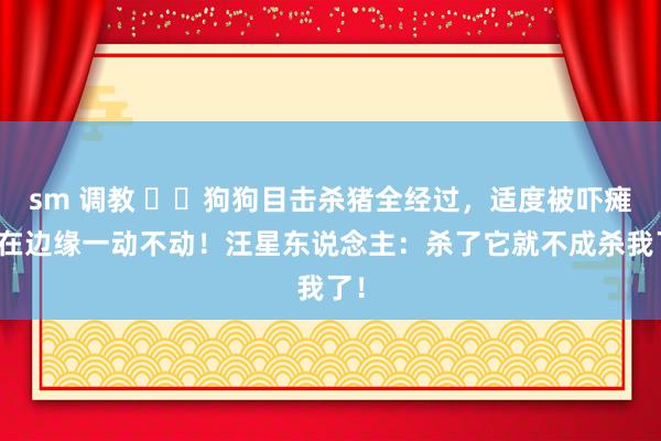 sm 调教 ▶️狗狗目击杀猪全经过，适度被吓瘫缩在边缘一动不动！汪星东说念主：杀了它就不成杀我了！