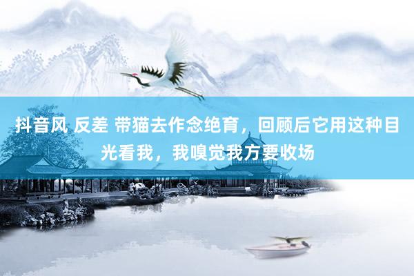 抖音风 反差 带猫去作念绝育，回顾后它用这种目光看我，我嗅觉我方要收场