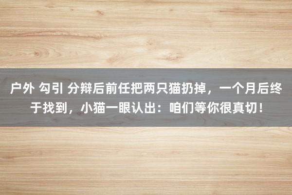 户外 勾引 分辩后前任把两只猫扔掉，一个月后终于找到，小猫一眼认出：咱们等你很真切！