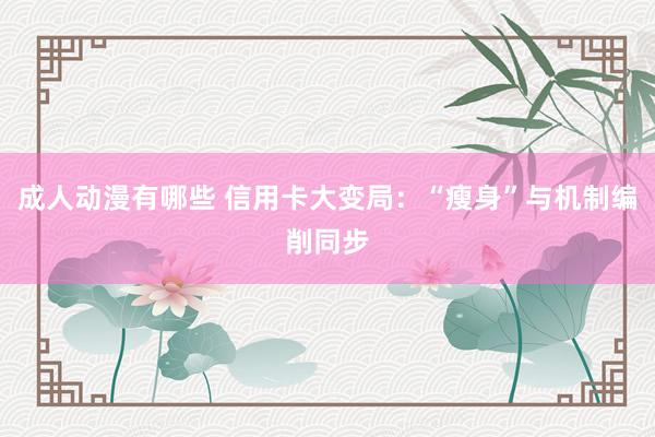 成人动漫有哪些 信用卡大变局：“瘦身”与机制编削同步