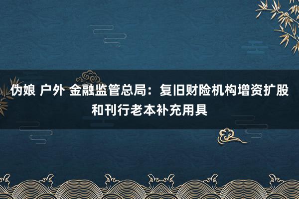 伪娘 户外 金融监管总局：复旧财险机构增资扩股和刊行老本补充用具