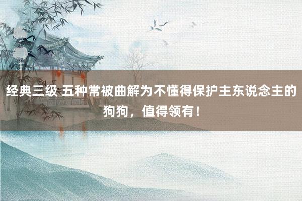 经典三级 五种常被曲解为不懂得保护主东说念主的狗狗，值得领有！