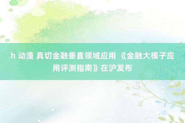 h 动漫 真切金融垂直领域应用 《金融大模子应用评测指南》在沪发布