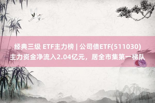 经典三级 ETF主力榜 | 公司债ETF(511030)主力资金净流入2.04亿元，居全市集第一梯队