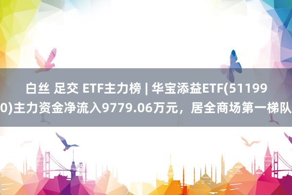 白丝 足交 ETF主力榜 | 华宝添益ETF(511990)主力资金净流入9779.06万元，居全商场第一梯队