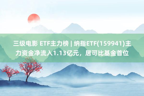 三级电影 ETF主力榜 | 纳指ETF(159941)主力资金净流入1.13亿元，居可比基金首位