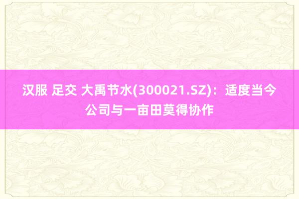 汉服 足交 大禹节水(300021.SZ)：适度当今公司与一亩田莫得协作