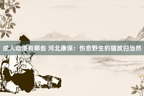 成人动漫有哪些 河北康保：伤愈野生豹猫放归当然