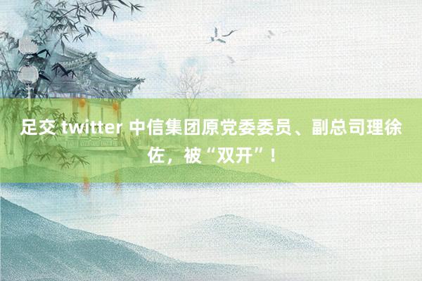足交 twitter 中信集团原党委委员、副总司理徐佐，被“双开”！