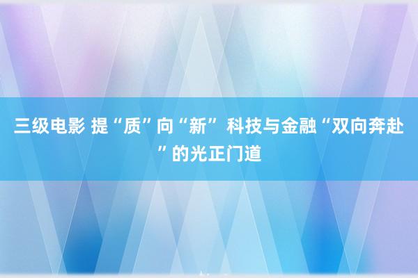 三级电影 提“质”向“新” 科技与金融“双向奔赴”的光正门道