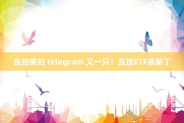 自拍偷拍 telegram 又一只！互挂ETF添新丁