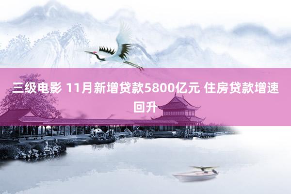 三级电影 11月新增贷款5800亿元 住房贷款增速回升