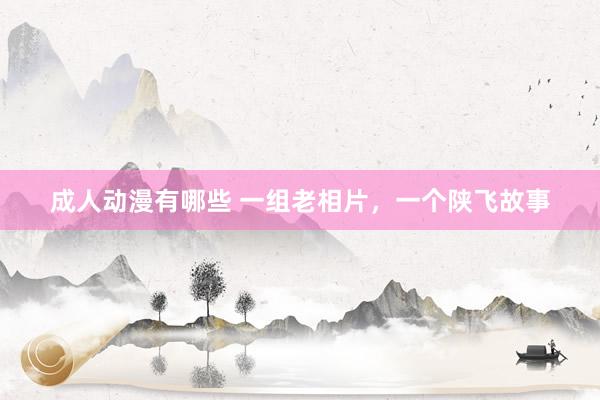 成人动漫有哪些 一组老相片，一个陕飞故事