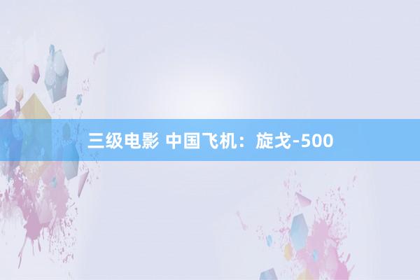 三级电影 中国飞机：旋戈-500