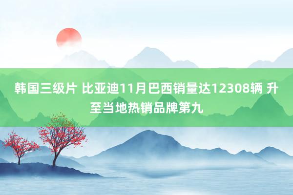 韩国三级片 比亚迪11月巴西销量达12308辆 升至当地热销品牌第九