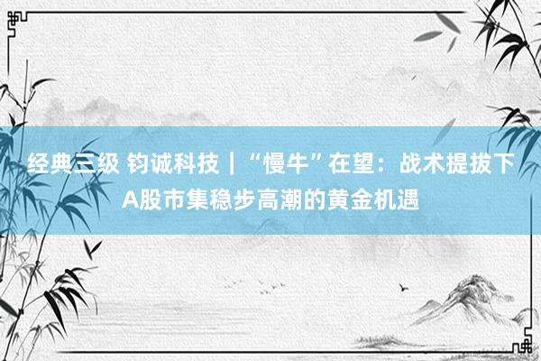 经典三级 钧诚科技｜“慢牛”在望：战术提拔下A股市集稳步高潮的黄金机遇