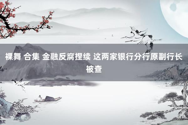 裸舞 合集 金融反腐捏续 这两家银行分行原副行长被查