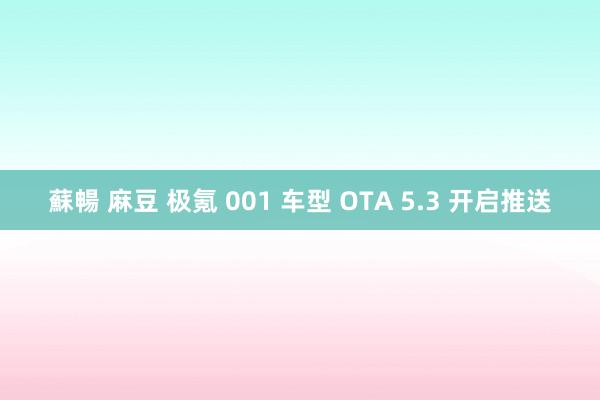 蘇暢 麻豆 极氪 001 车型 OTA 5.3 开启推送