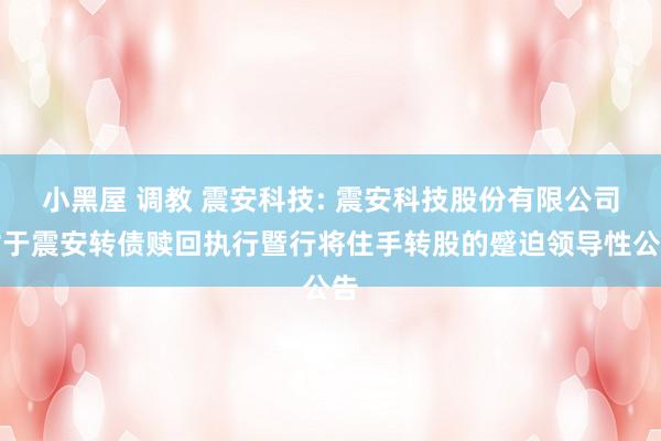 小黑屋 调教 震安科技: 震安科技股份有限公司对于震安转债赎回执行暨行将住手转股的蹙迫领导性公告