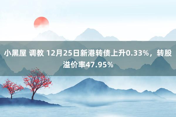 小黑屋 调教 12月25日新港转债上升0.33%，转股溢价率47.95%